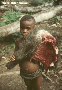 Efe bushmeat